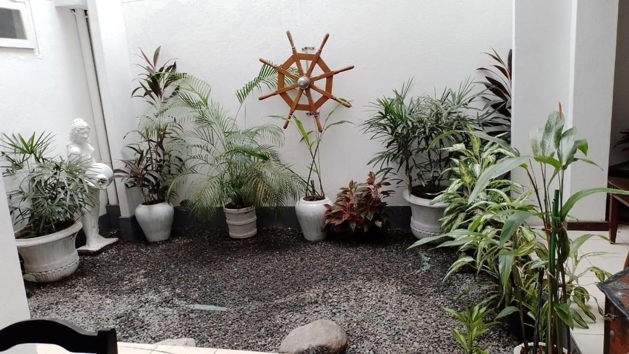 Chelsea Villa Bnb קולומבו מראה חיצוני תמונה